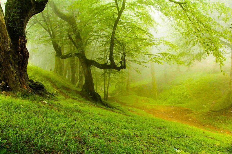 heaven is nearphoto preview