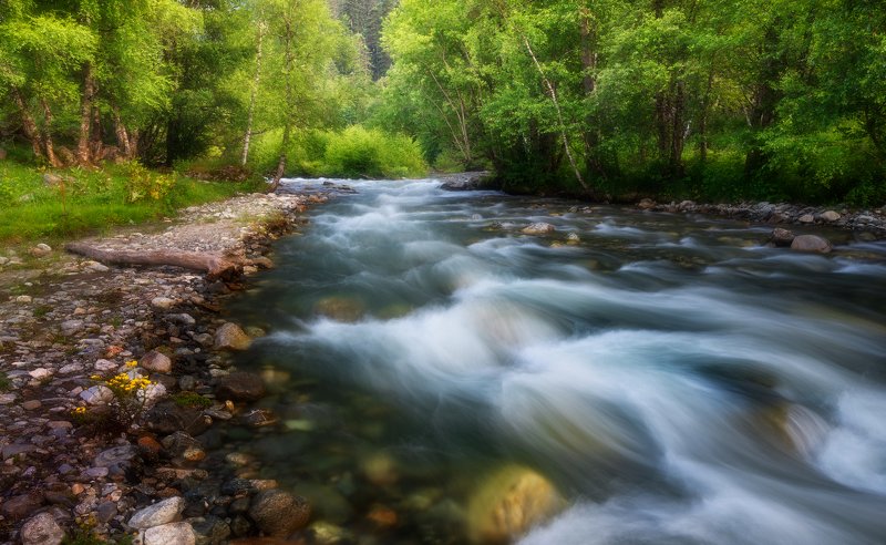 На берегуphoto preview