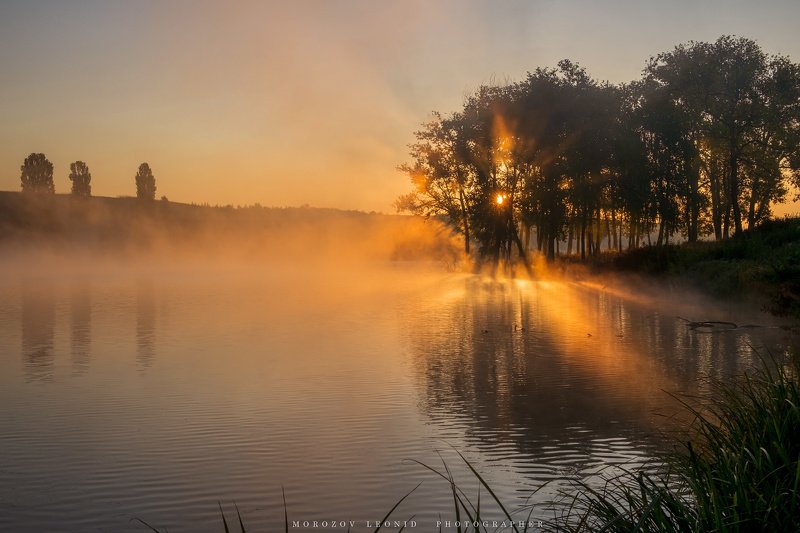 #landscape, #nature, #scenery, #forest, #wood, #autumn, #mist, #misty, #fog, #foggy, #river, #waterfall, #longexposure, #mountain, #vitosha, #bulgari, #aтуман, #лес, #oсень photo preview