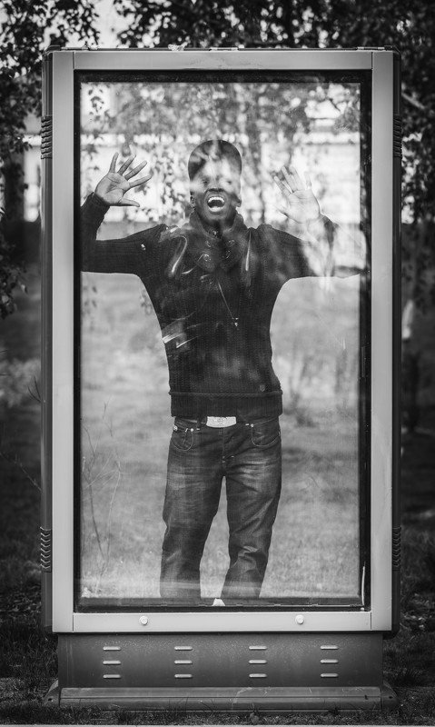 berendey trapphoto preview