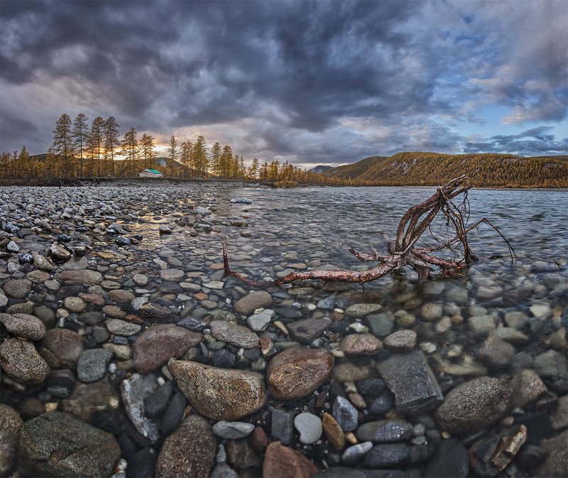 Без названия.photo preview