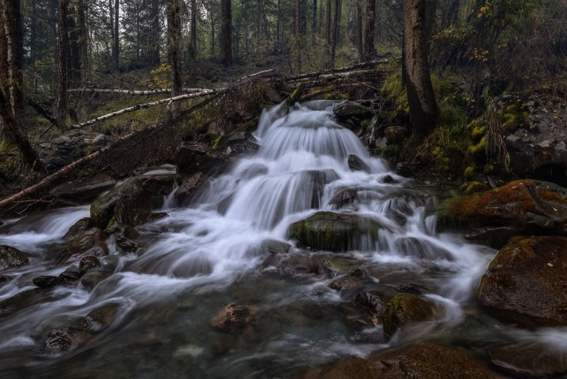 Бежит ручейphoto preview