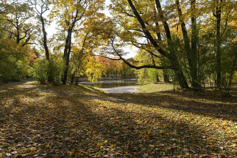 Осень в Александровском паркеphoto preview