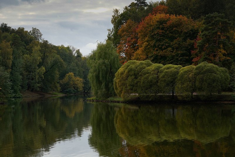 пейзаж осень пруд листья Царицыно парк фото превью