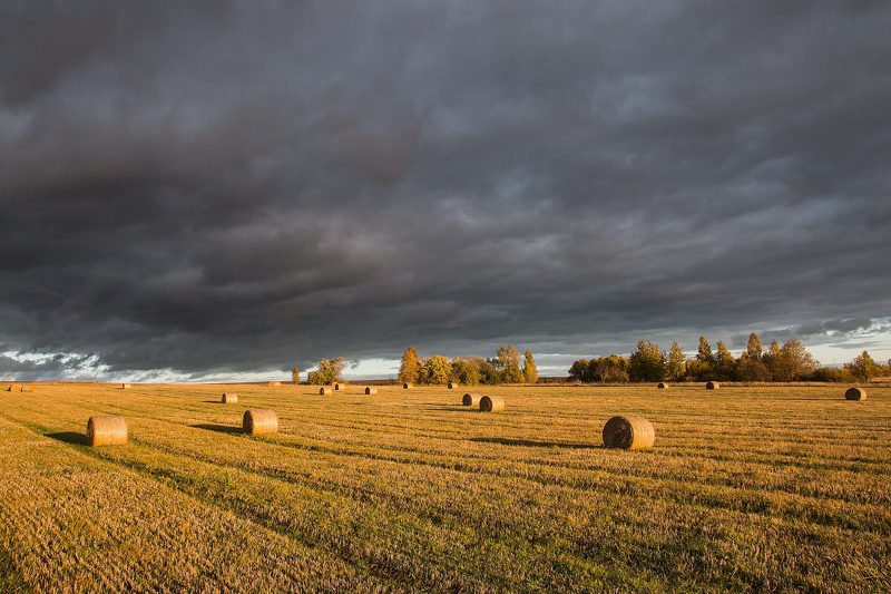 Осенние краскиphoto preview