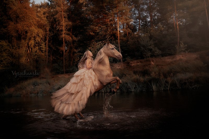 girl riding golden horsephoto preview