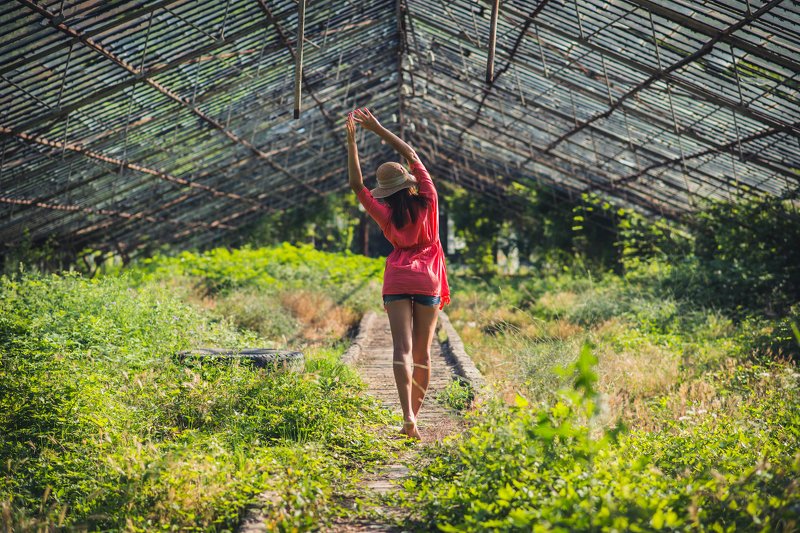 berendey теплицаphoto preview