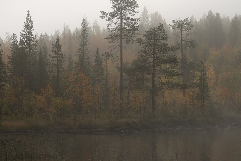 Как-то утромphoto preview