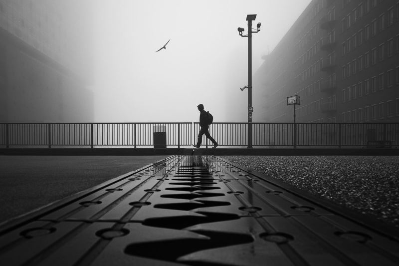 bnw, hamburg, bird, people, urban, street, bridge, metal, lantern Am Kaiserkaiphoto preview