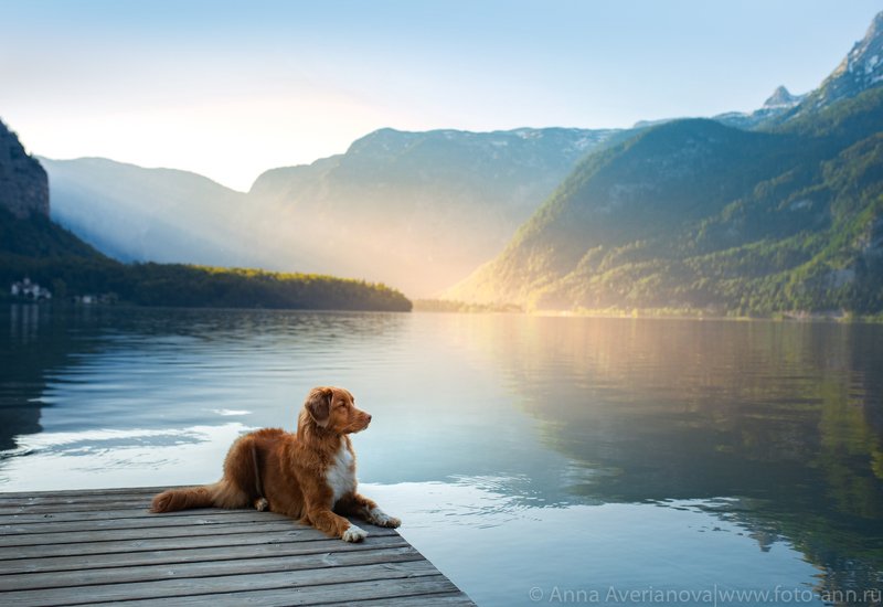 горы, утро, озеро утро на озереphoto preview