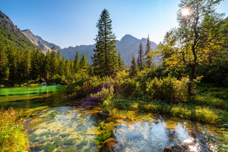 landscape, stream, mountains, rybi potok, morskie oko, zakopane, poland, sun, green, tatry, view, trees, niebo, water Dolina Rybiego Potokuphoto preview