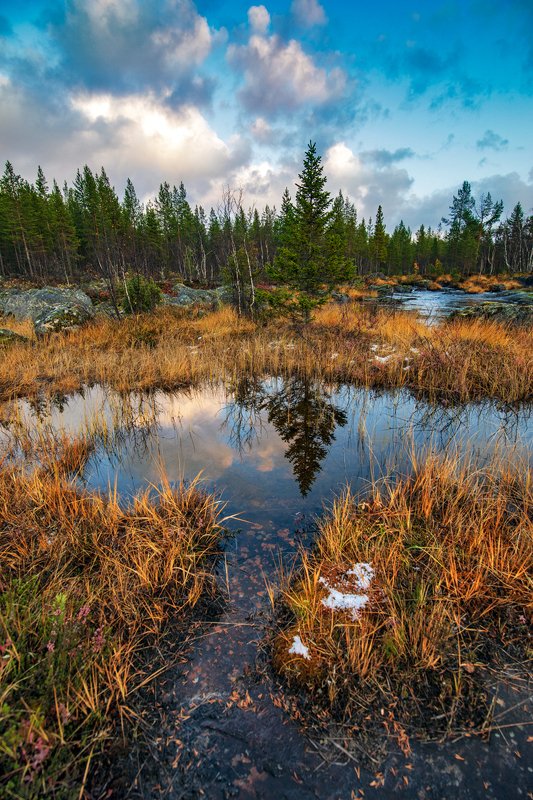 осень Пейзаж с пригоршней снега ...photo preview