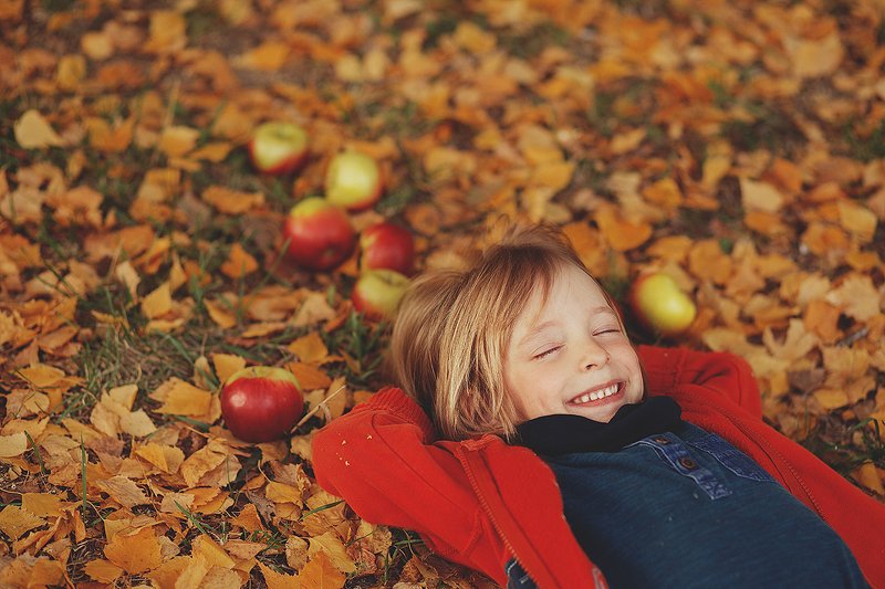 осеньphoto preview