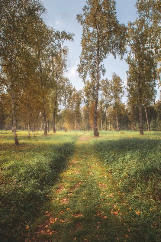 Усадьба Остафьевоphoto preview