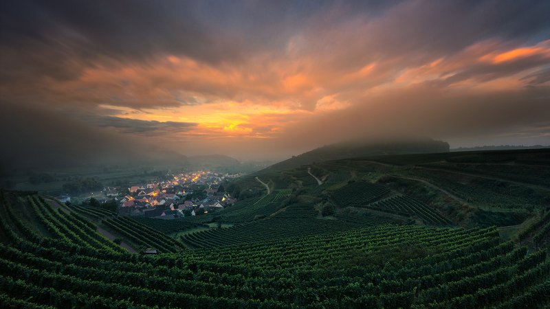 kaiserstuhl,achkarren,schwarzwald,mood,rural,grapes Between Vineyardsphoto preview