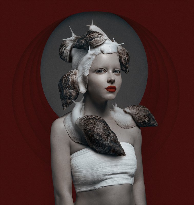 Улиткаphoto preview