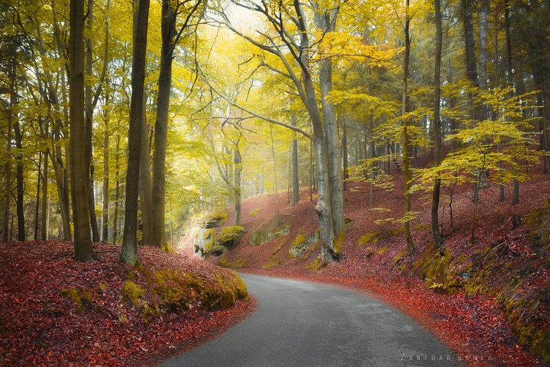 осень,zanfoar,czech republic,bohemia,богемный рай,czech paradise,чехия начинается осень ..photo preview
