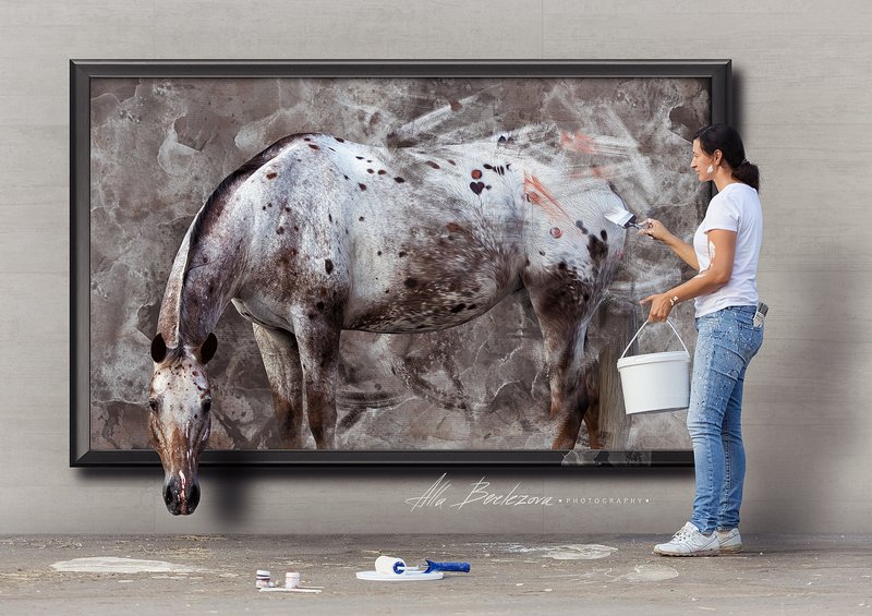 horse, appaloosa, лошадь, аппалуза, портрет, животные, usa Нарисуй свою мечту - и она обязательно станет реальностьюphoto preview