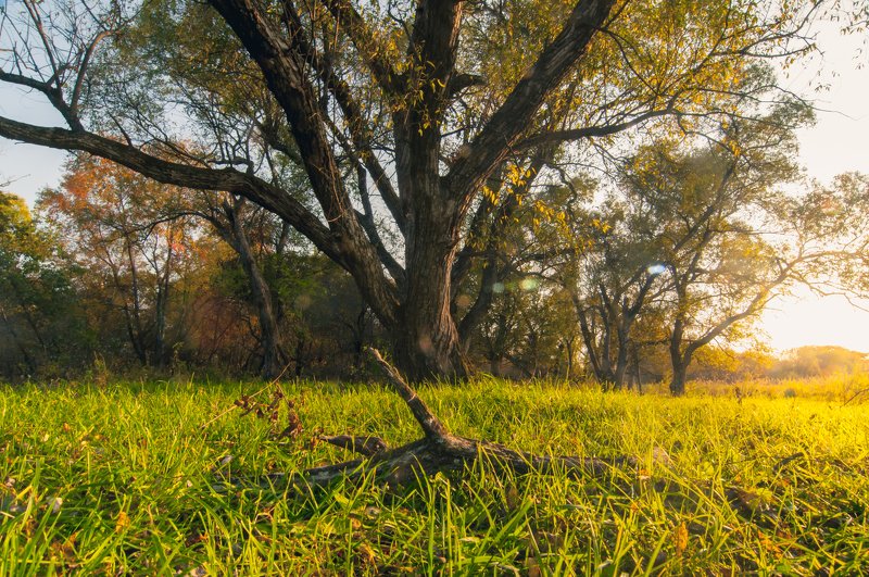 Заливает осень светомphoto preview