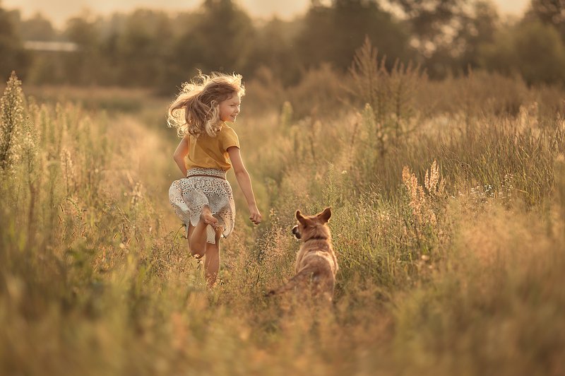 А ну-ка, догони, Бобаphoto preview