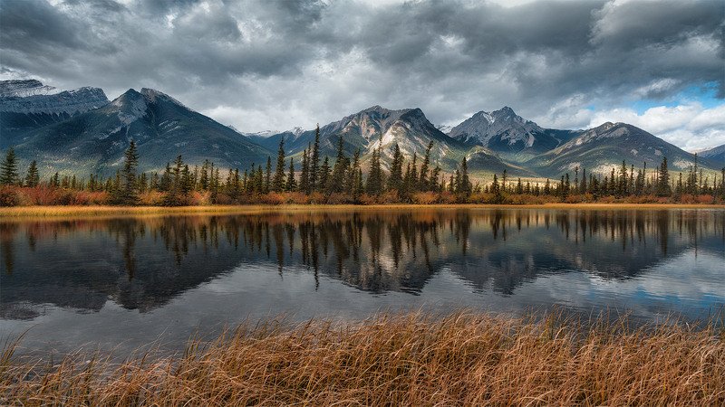 в погоне за светом. альберта, канада, alberta, canada, @1pro.photo топи Канадыphoto preview