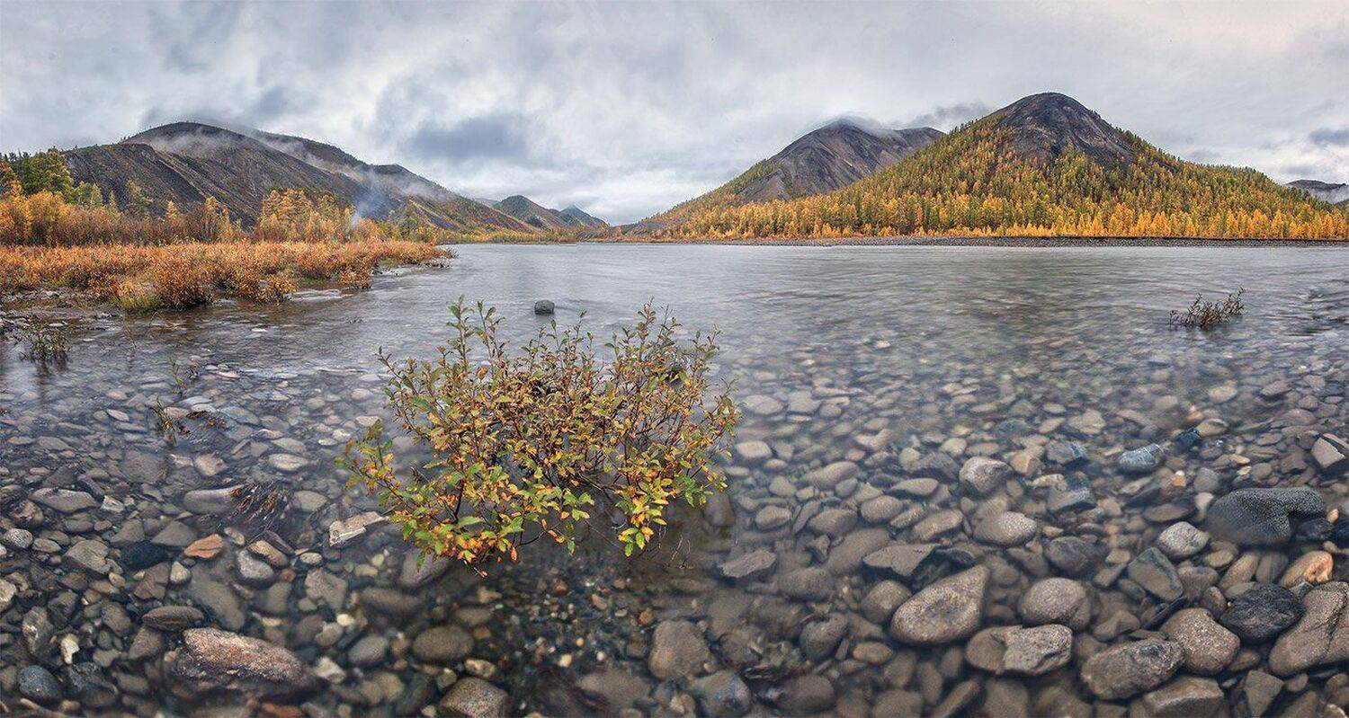 , Николай Андреев