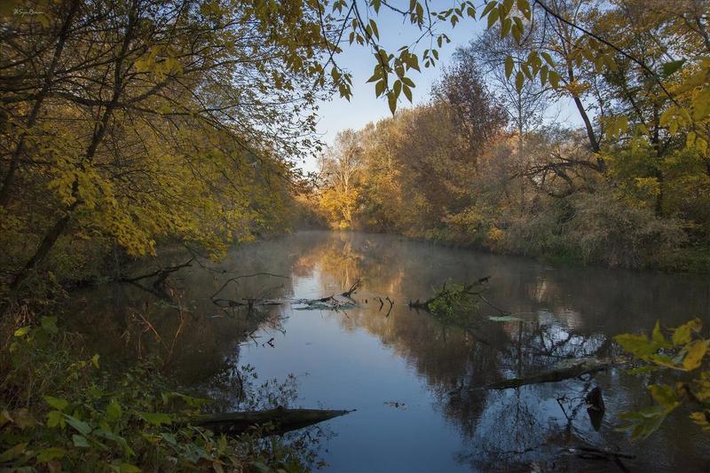 берег,лес,осень,пейзаж,река,туман,утро В осенних рамках ...photo preview