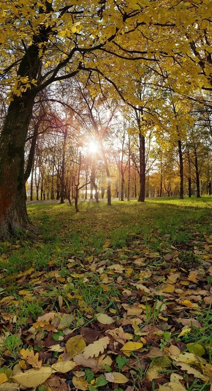 Осенние панорамки!photo preview
