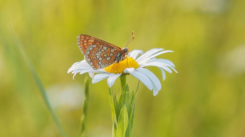Жаль что лето прошло ...photo preview