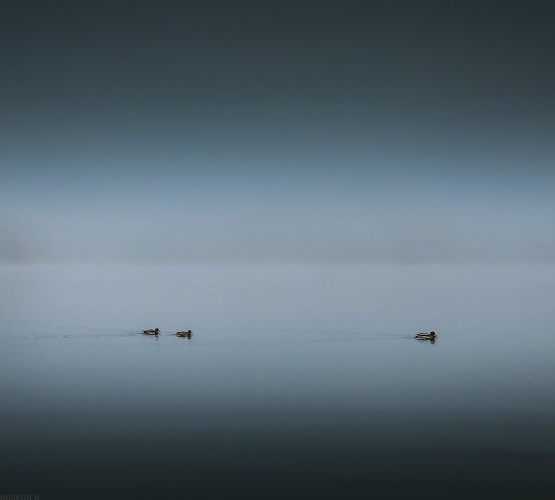 черногория, природа, путешествие Безмолвие Черного озераphoto preview