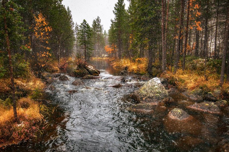 Снова падал снег ...photo preview