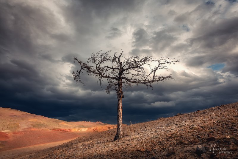 Есть ли жизнь на Марсе, Алтайphoto preview