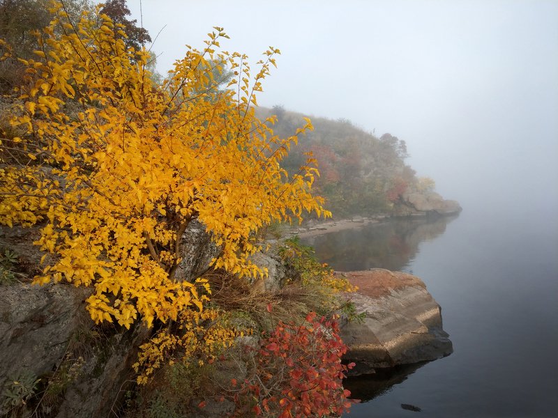 туман,река,пейзаж,желтый,цвет,дерево,вода,осень,камни,берег,утро,рассвет,релакс Октябрь...туманы...photo preview