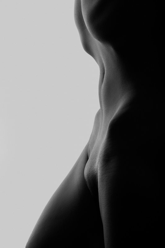 nude, fineartnude, woman, siluet, body Torsophoto preview