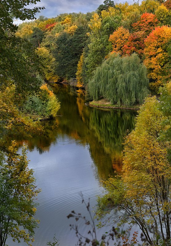 осень, цвет, парк, пруд Осенний пруд в паркеphoto preview