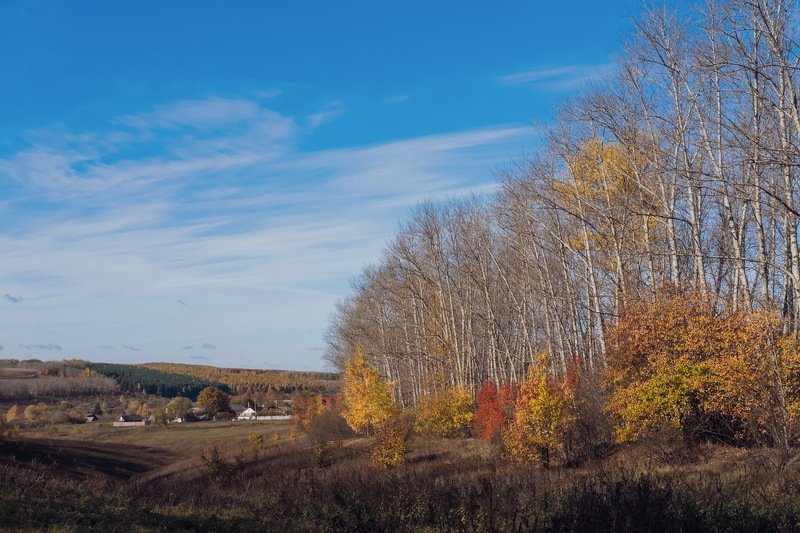 осень октябрь деревня Октябрь (деревенская версия)photo preview