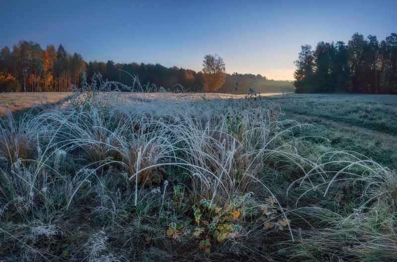 питер, павловск, павловскийпарк, осень, рассвет Вот и октябрь . . .photo preview