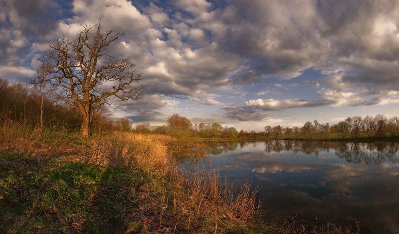 Дыхание весныphoto preview