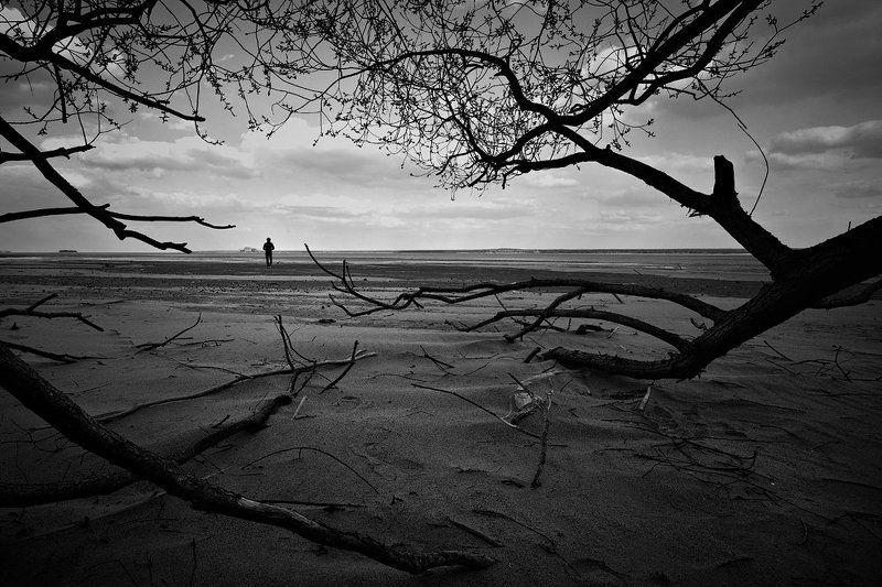 the onephoto preview