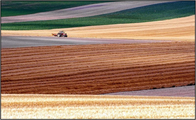 france, , burgundy, fields Summer Fieldsphoto preview