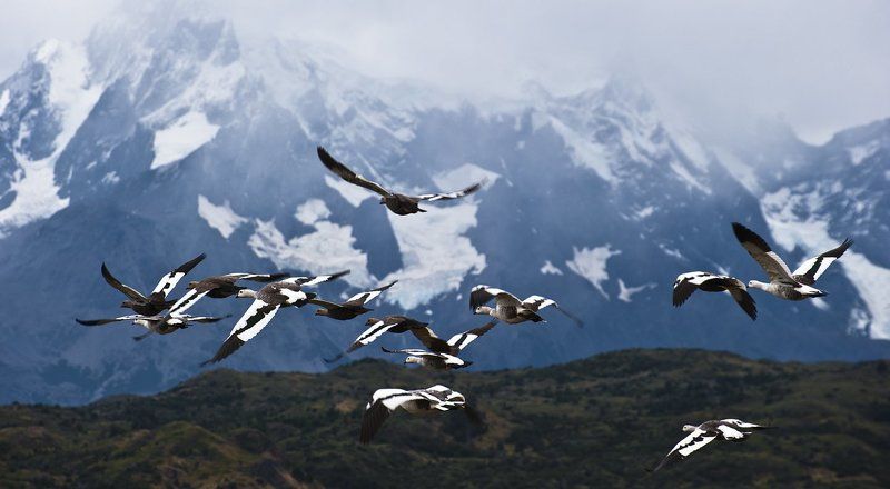 чили, патагония, торес дель пайне Небо - наш родимый дом.photo preview