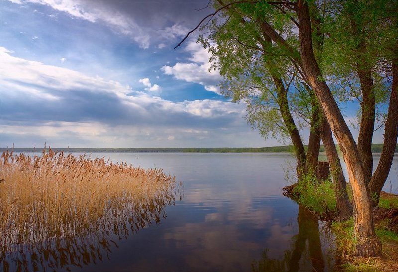 САДОВКА.photo preview