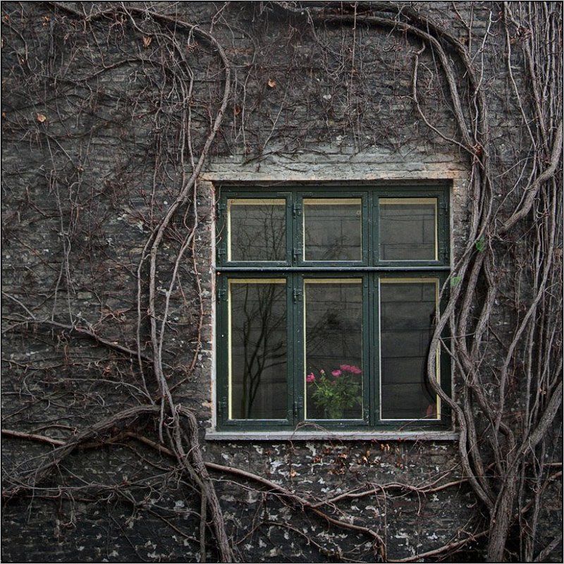 Werner Pleischner. Drunk Airphoto preview