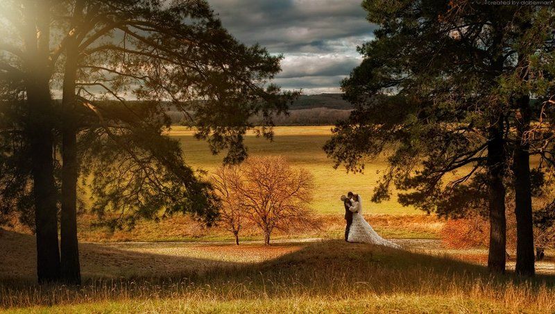 wedding, bride, forest, свадьба, лес, молодожены, сосны weddingphoto preview