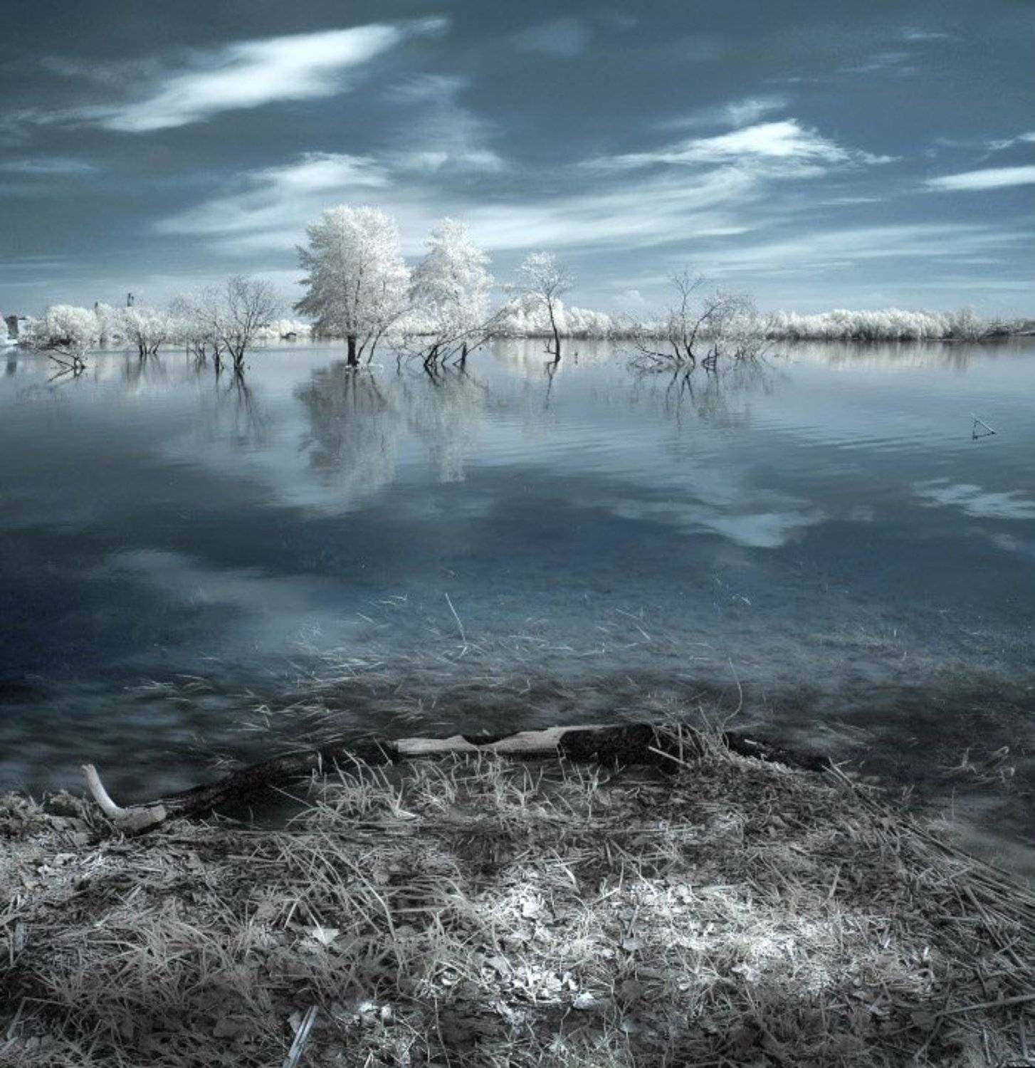 , Эдуард VTORNIK  Николаев