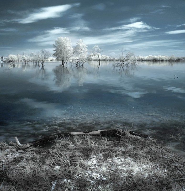 Половодьеphoto preview