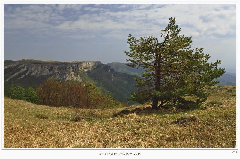 крым, горы, демерджи, хапхал, тырке, облака, скалы, камни, анатолий покровский Ветер вечно продолжает дуть; дерево всё растёт. Гора ждёт. фото превью