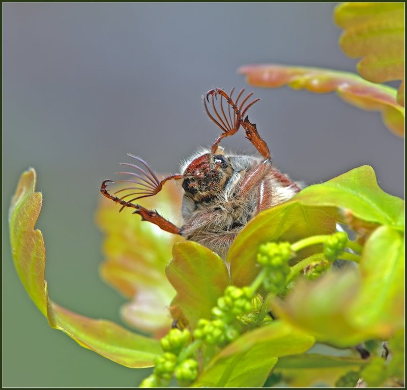 Всем привет!photo preview