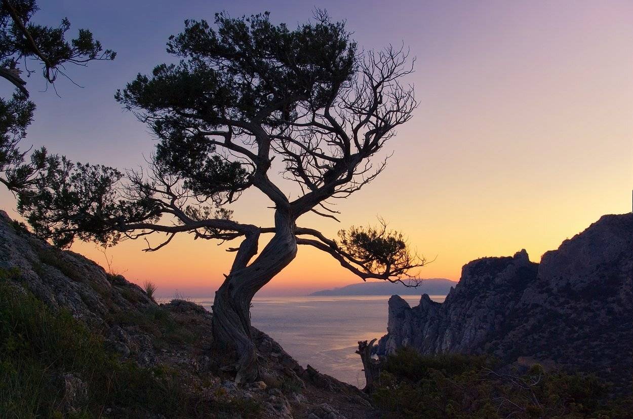 Good night. Автор: Игорь Мелекесцев , Игорь Мелекесцев