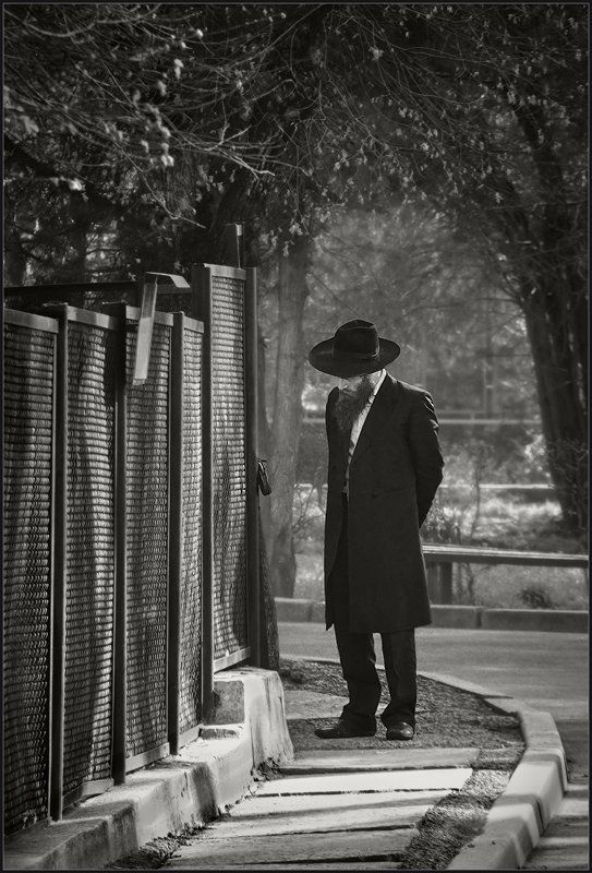 В Алма-Атинском зоопарке ...photo preview